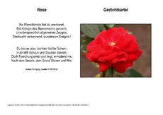 Rose-Goethe.pdf